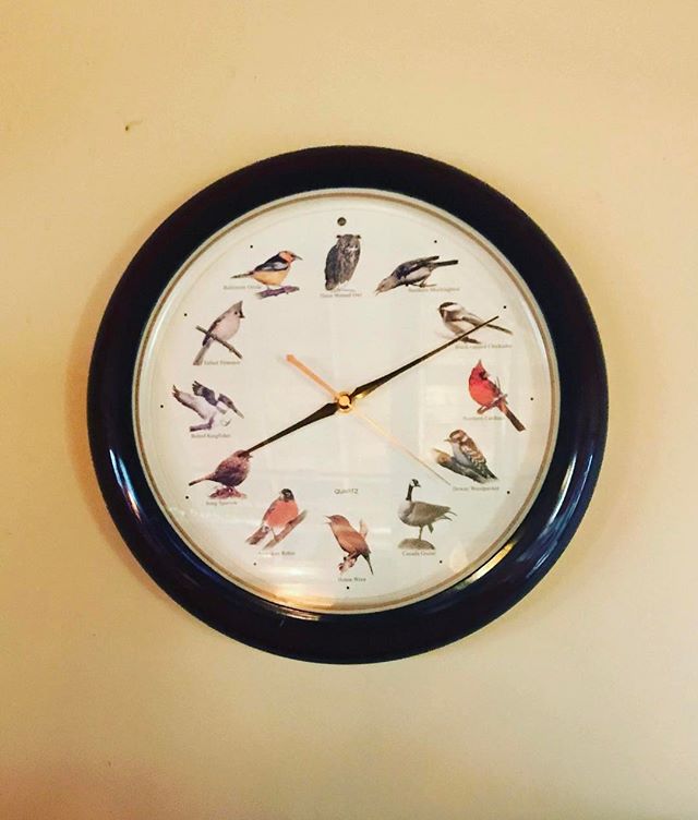 It's half past a swallow, quarter to a blackbirds asshole.